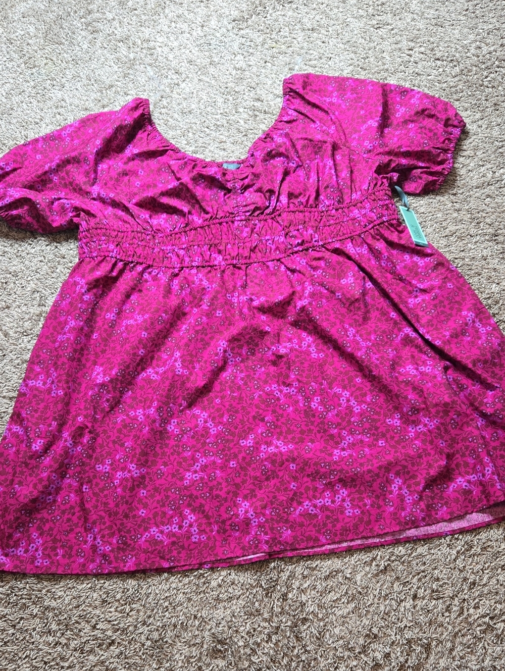 Terra & Sky Mini Cinched 4X 28W - 30W Plus Size Dress Dark Azalea